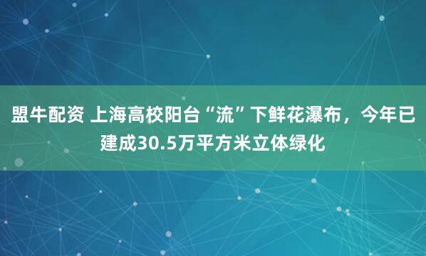 盟牛配资 上海高校阳台“流”下鲜花瀑布，今年已建成30.5万平方米立体绿化