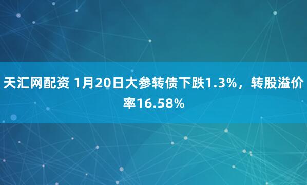 天汇网配资 1月20日大参转债下跌1.3%，转股溢价率16.58%
